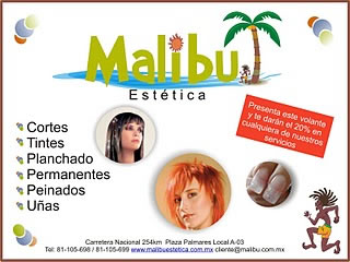 Introducción
